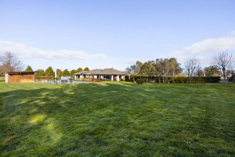 Photo of property in 499 Seddon Road, Gordonton, Hamilton, 3287