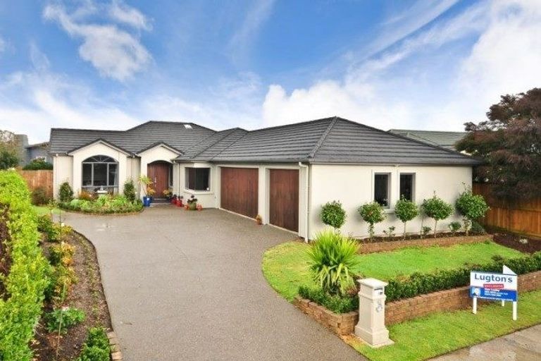 Photo of property in 45 The Esplanade, Huntington, Hamilton, 3210