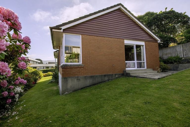 Photo of property in 58 Balmacewen Road, Maori Hill, Dunedin, 9010
