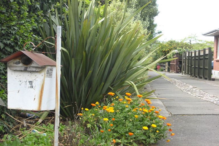 Photo of property in 71b Maxwell Road, Blenheim, 7201