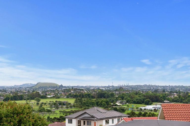 Photo of property in 117 Bradbury Road, Botany Downs, Auckland, 2010