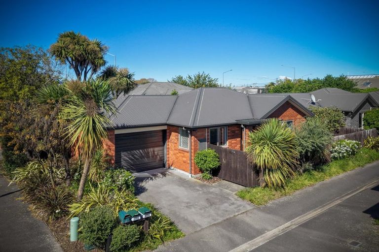 Photo of property in 17 Picton Avenue, Riccarton, Christchurch, 8011