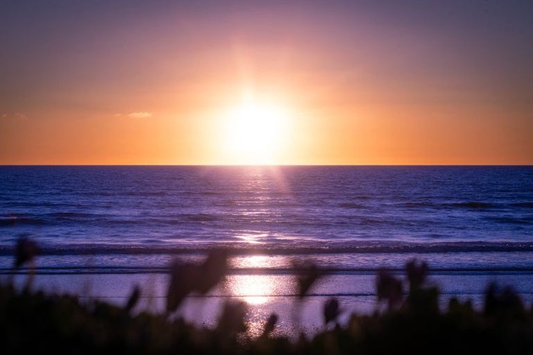 Photo of property in 134 Wellington Road, Paekakariki, 5034