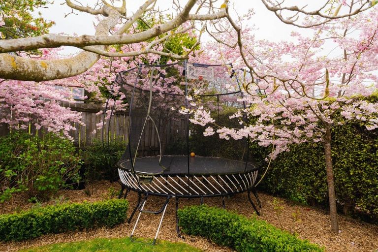 Photo of property in 20 Carnarvon Street, Belleknowes, Dunedin, 9011