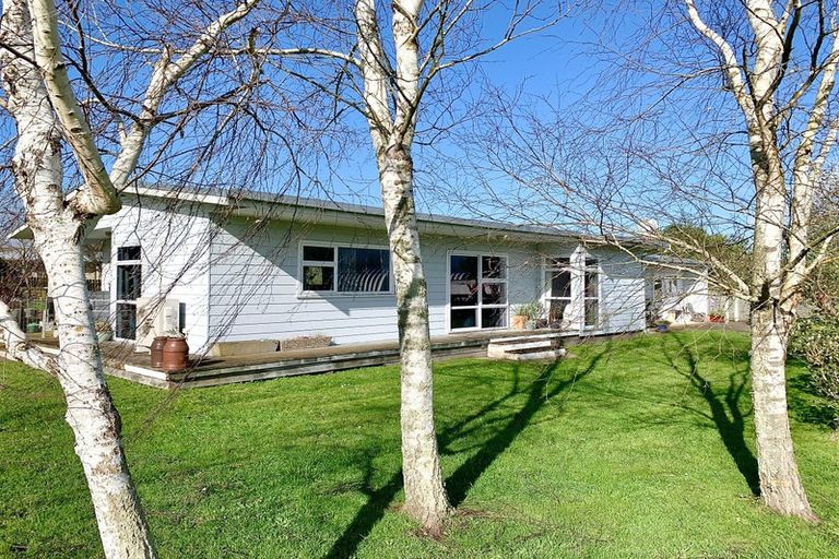 Photo of property in 28 Leeton Drive, Waipukurau, 4200