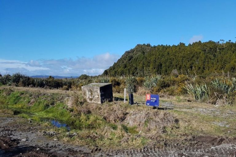 Photo of property in 17 Albert Street, Okarito, Whataroa, 7886