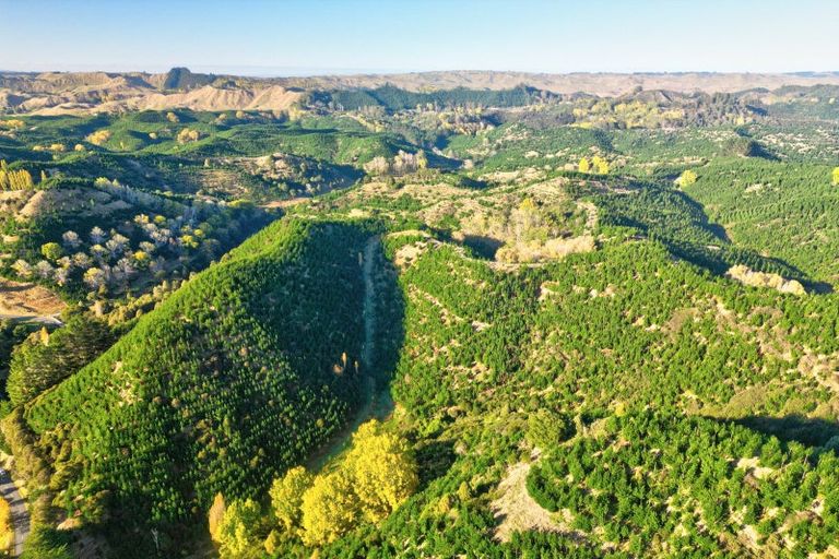 Photo of property in 751 Ongo Road, Hunterville, 4782