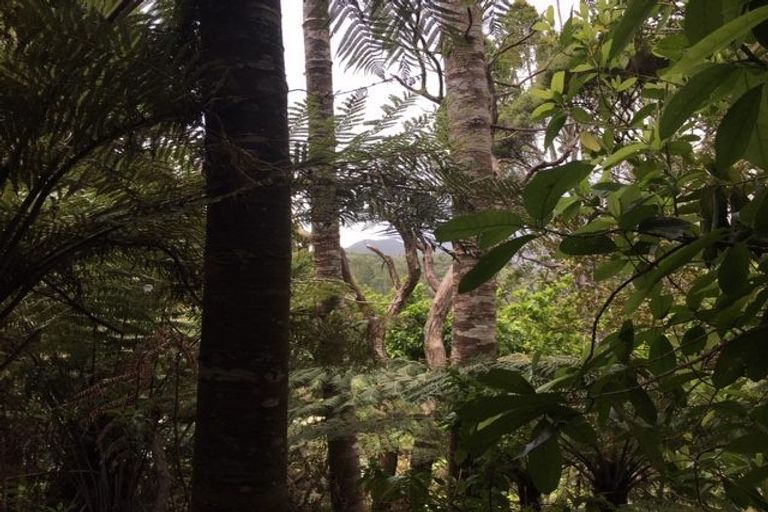 Photo of property in 45 Lone Kauri Road, Karekare, Auckland, 0772