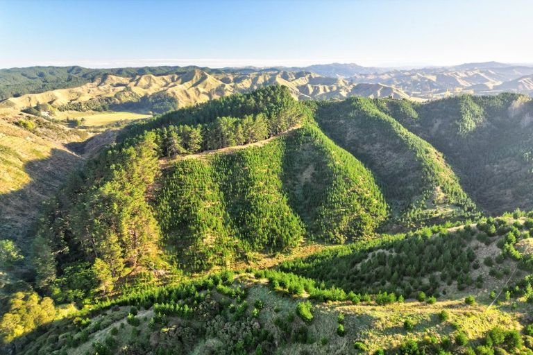 Photo of property in 751 Ongo Road, Hunterville, 4782