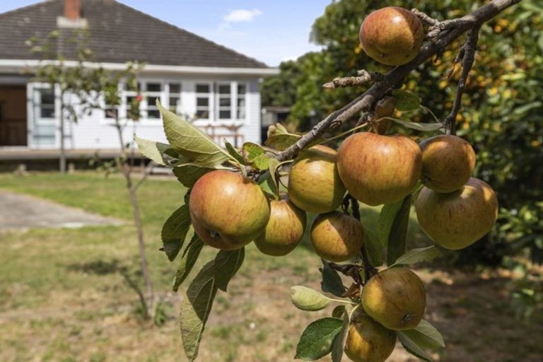 Photo of property in 77a Riverside Drive, Waiwhetu, Lower Hutt, 5010