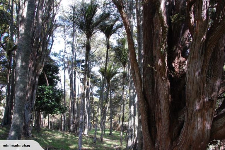 Photo of property in 229 Settlement Road, Kaiwaka, 0573