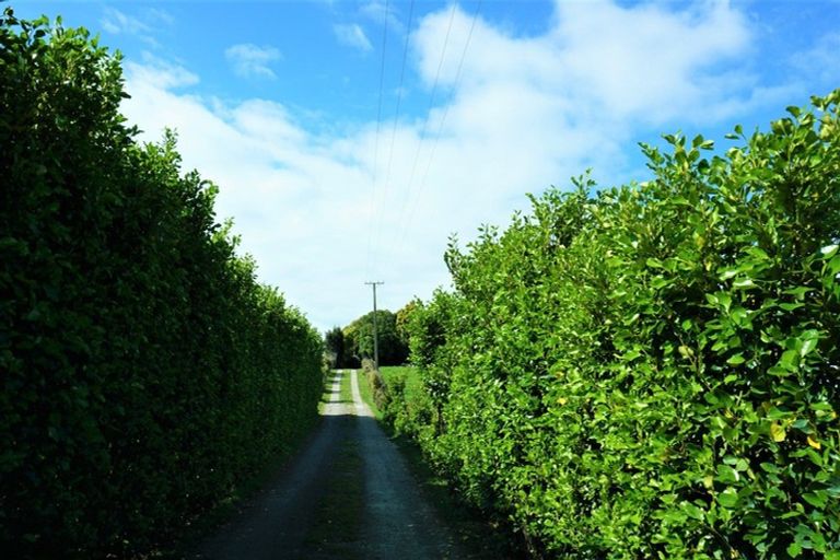 Photo of property in 82 Heatherlea West Road, Levin, 5575