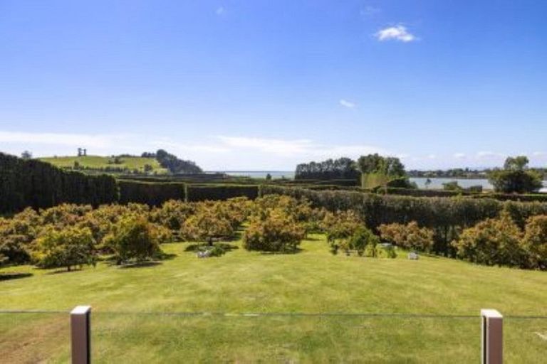 Photo of property in 11b Stokes Road, Tahawai, Katikati, 3170