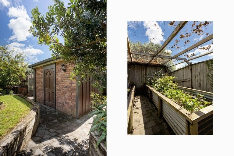 Photo of property in 50 La Colina Place, Bethlehem, Tauranga, 3110