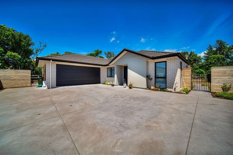 Photo of property in 389c Frankley Road, Ferndale, New Plymouth, 4310