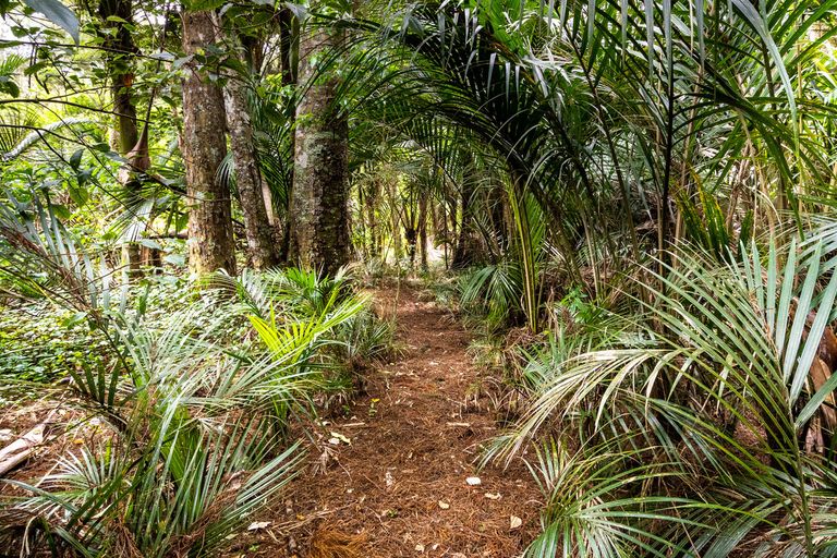 Photo of property in 3 Opanuku Road, Henderson Valley, Auckland, 0612