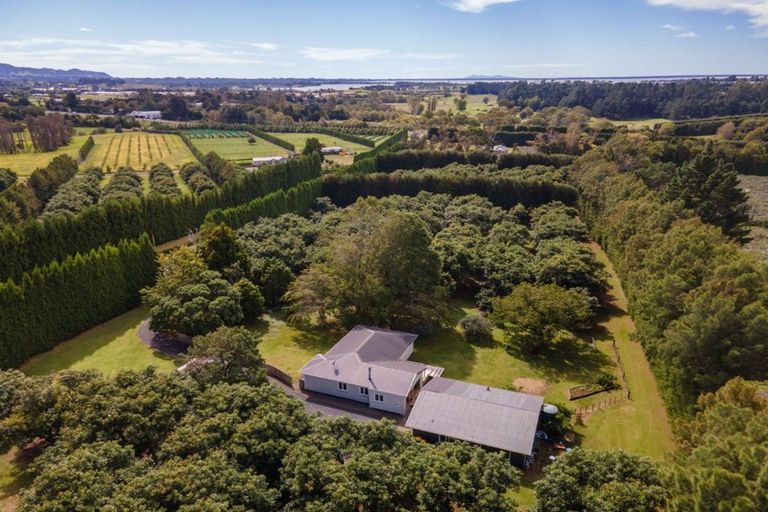 Photo of property in 43 Thompsons Track, Aongatete, Katikati, 3178