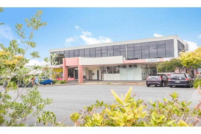 Photo of property in 10/80 Bruce Mclaren Road, Henderson, Auckland, 0612