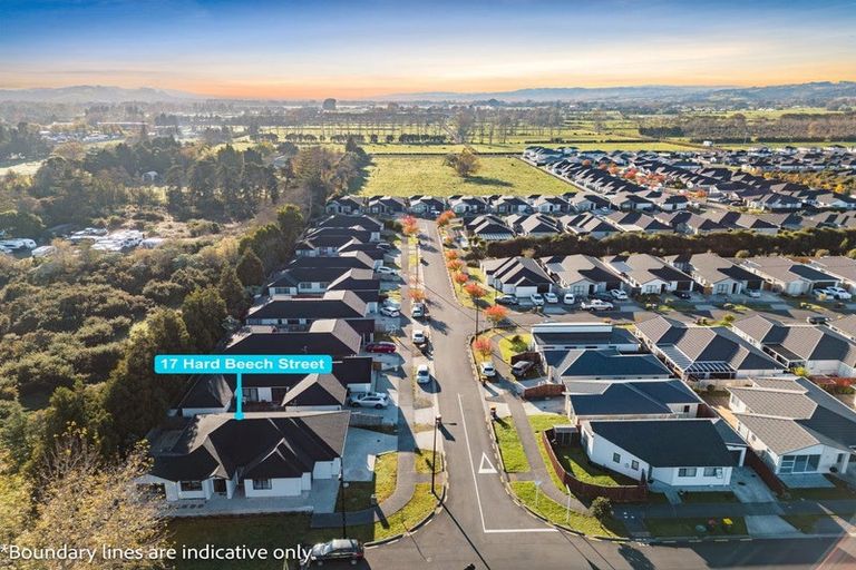 Photo of property in 17 Hard Beech Street, Takanini, 2110