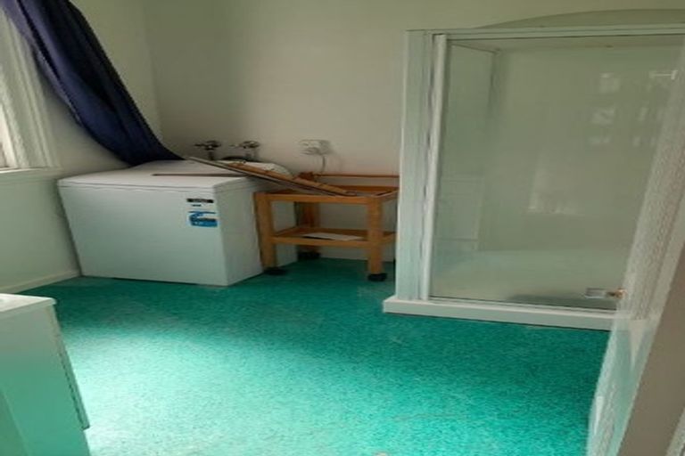 Photo of property in 50 Porritt Avenue, Mount Victoria, Wellington, 6011