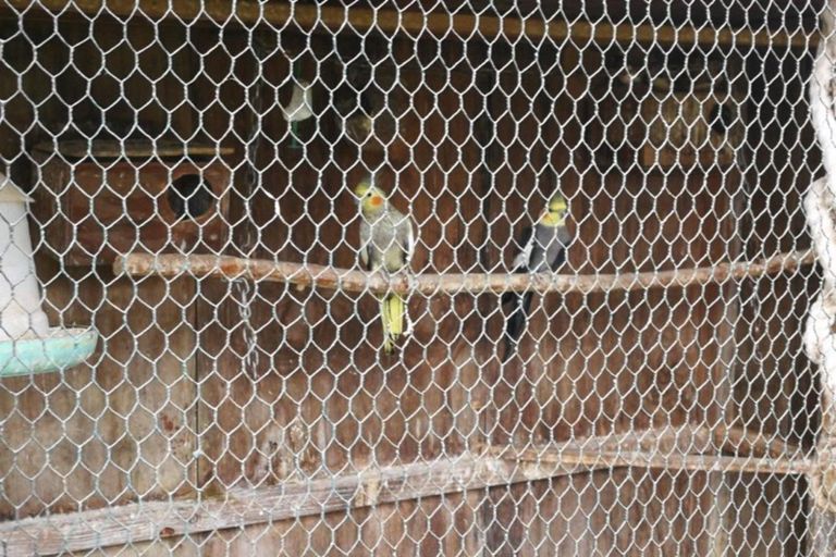 Photo of property in 97 Hangawera Road, Morrinsville, 3375