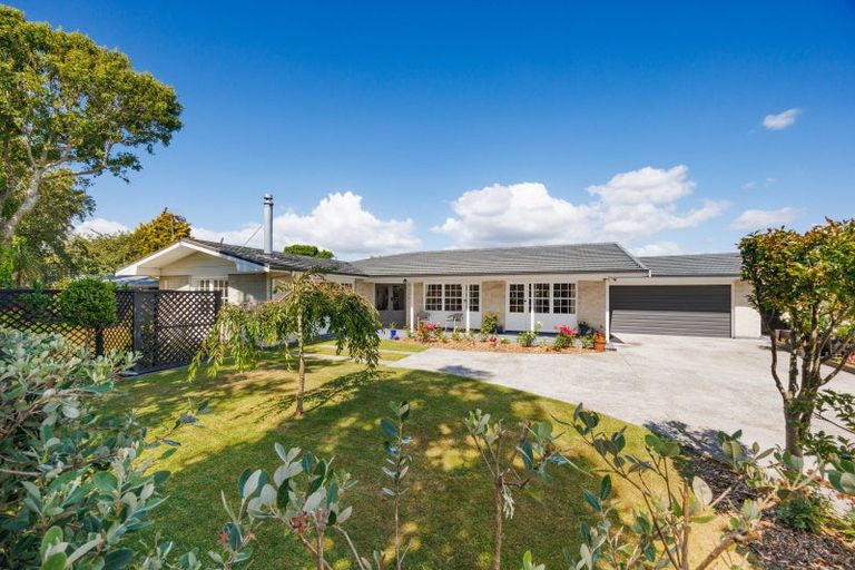 Photo of property in 409 Ruahine Street, Terrace End, Palmerston North, 4410