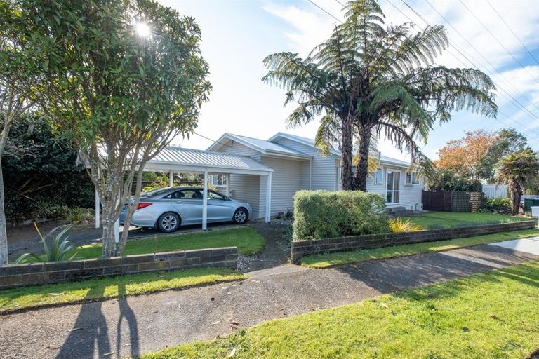 Photo of property in 16 Antonio Street, Stratford, 4332