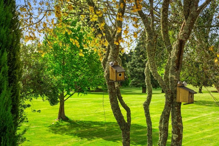 Photo of property in 14a Nikau Street, Springfield, Rotorua, 3015