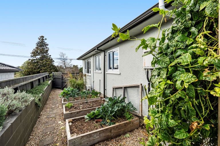 Photo of property in 228 Carrington Street, Vogeltown, New Plymouth, 4310