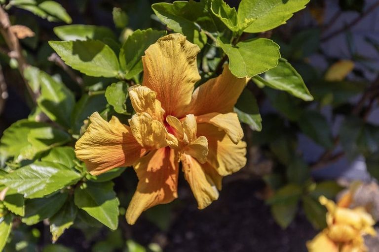 Photo of property in 2 Kanawa Street, Waikanae, 5036