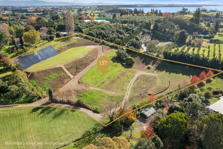 Photo of property in 137 Lochhead Road, Te Puna, Tauranga, 3176