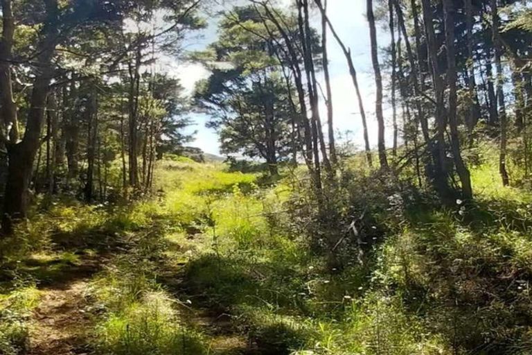 Photo of property in 1762 Kohumaru Road, Peria, Kaitaia, 0482