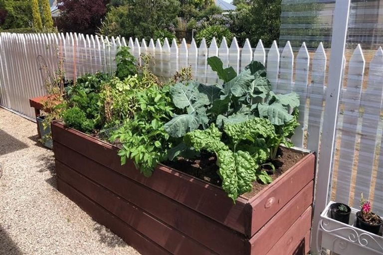 Photo of property in 4 Hawthorn Way, Richmond, 7020