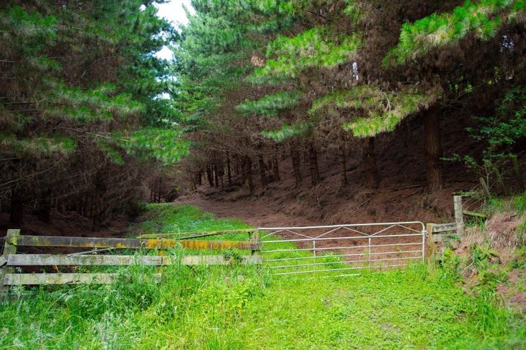 Photo of property in 276b No 2 Line, Okoia, Whanganui, 4572