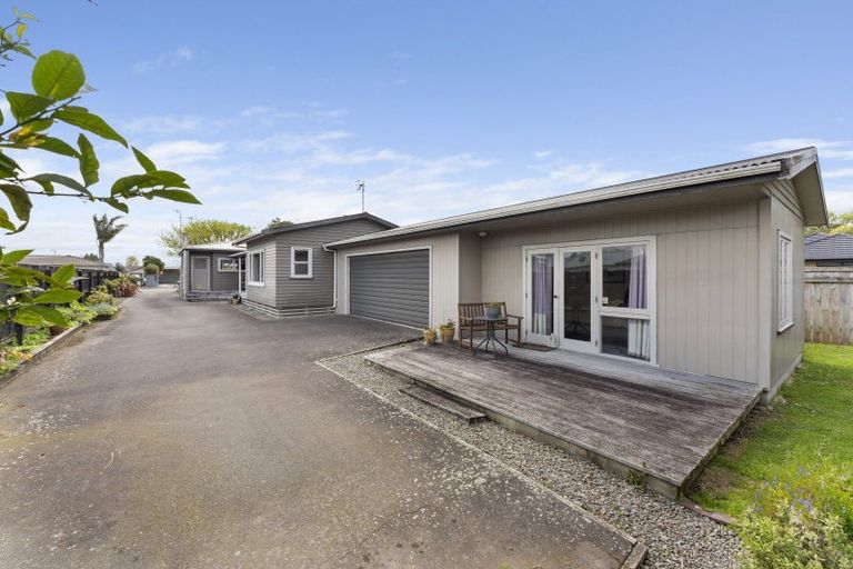 Photo of property in 31 Windsor Street, Terrace End, Palmerston North, 4410