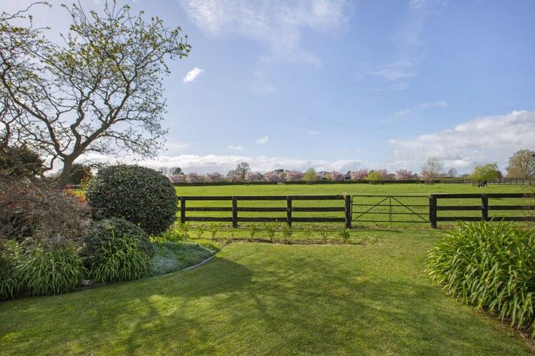 Photo of property in 373 Mystery Creek Road, Ohaupo, 3881