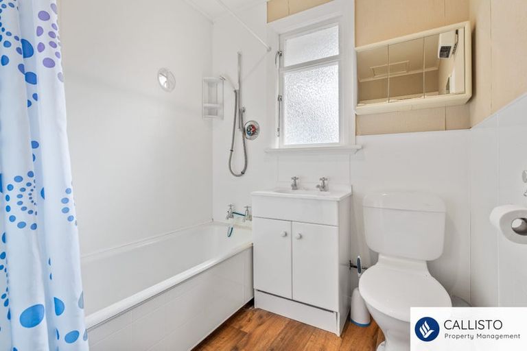 Photo of property in 213 Signal Hill Road, Opoho, Dunedin, 9010