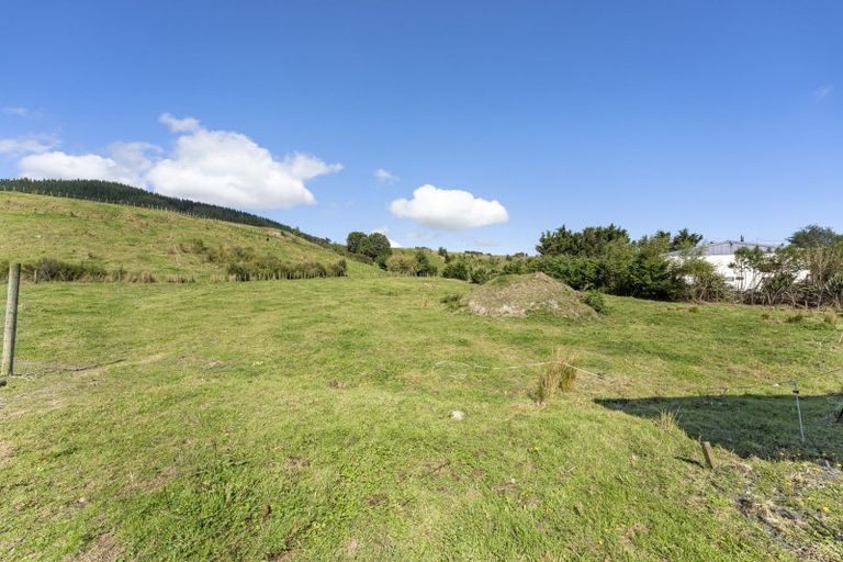 Photo of property in 226 Mangahao Road, Shannon, Palmerston North, 4474