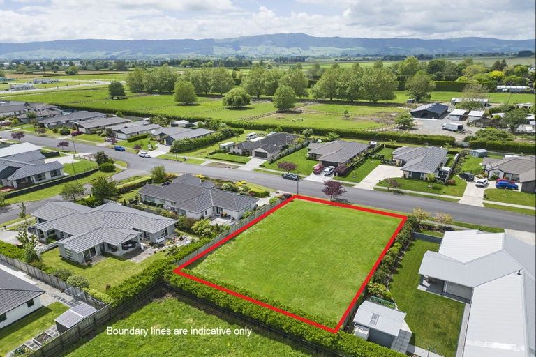 Photo of property in 7 O'sullivan Drive, Matamata, 3400