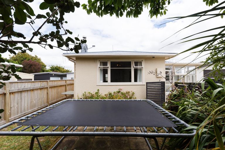 Photo of property in 21 Salisbury Avenue, Terrace End, Palmerston North, 4410