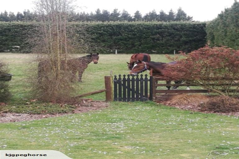 Photo of property in 95 Genesis Drive, West Melton, Christchurch, 7675
