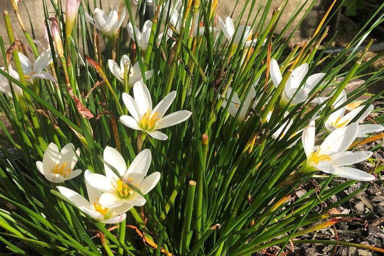 Photo of property in 19 Raumati Crescent, Onerahi, Whangarei, 0110