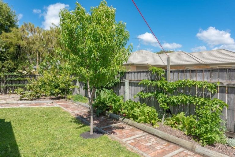 Photo of property in 9 Ward Street, Springlands, Blenheim, 7201