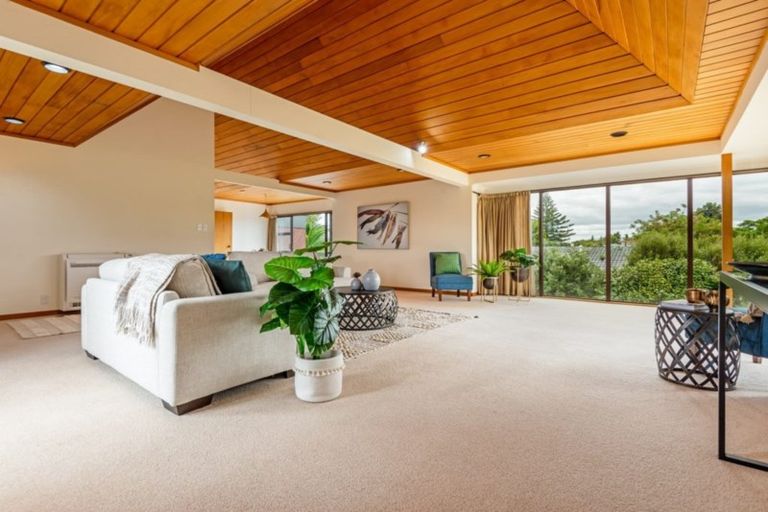 Photo of property in 67 Dittmer Drive, Awapuni, Palmerston North, 4412