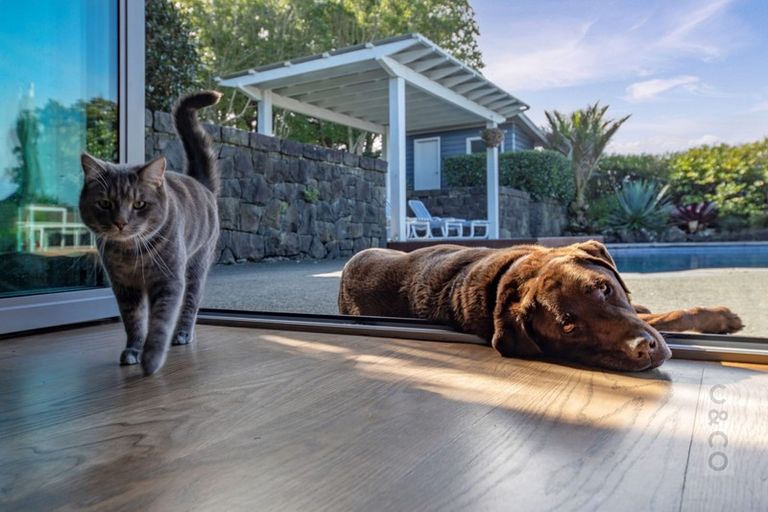 Photo of property in 175 Hanham Road, Kumeu, 0891