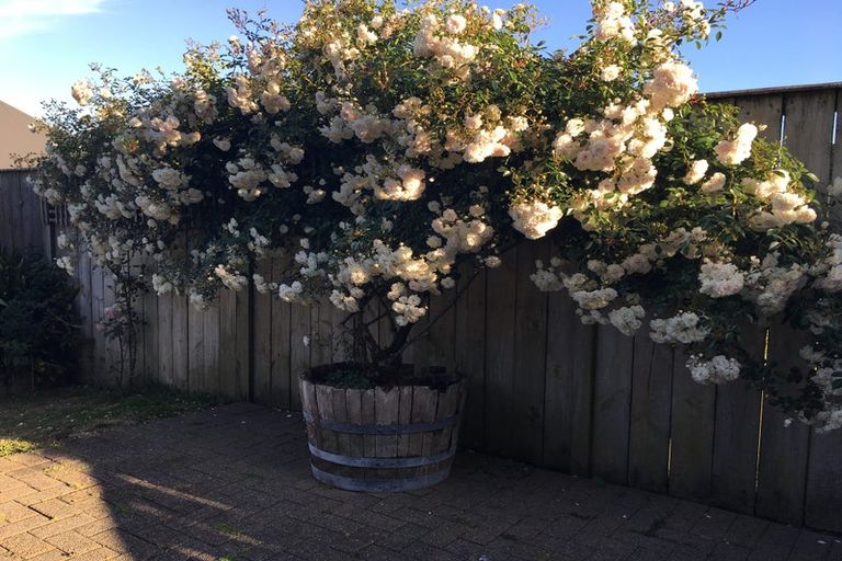 Photo of property in 9 Timandra Place, Te Kamo, Whangarei, 0112