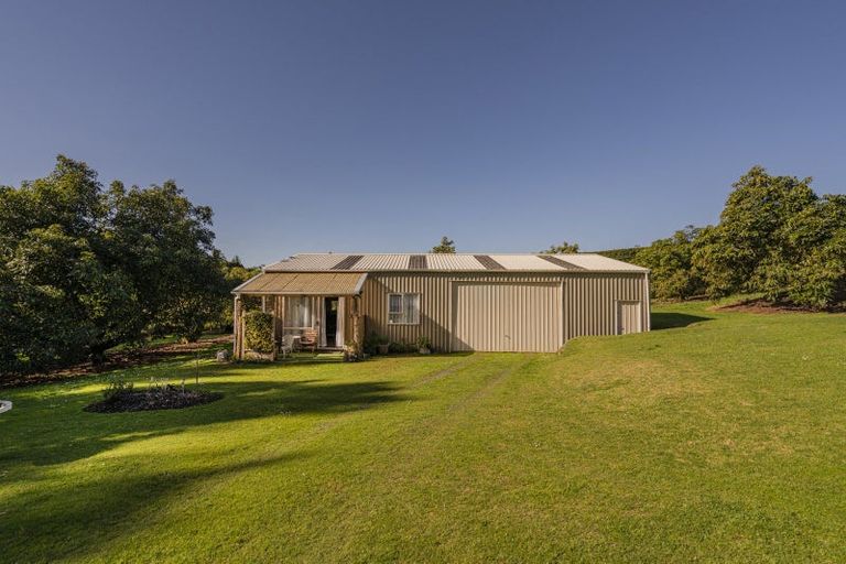 Photo of property in 210 Tuapiro Road, Tahawai, Katikati, 3170