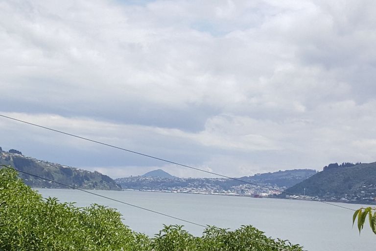 Photo of property in 3 Ngaio Street, Macandrew Bay, Dunedin, 9014