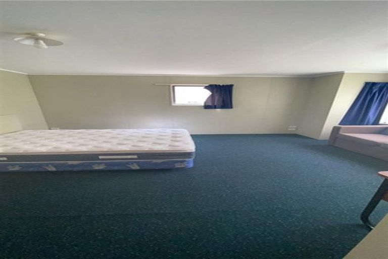 Photo of property in 381 Leith Street, North Dunedin, Dunedin, 9016