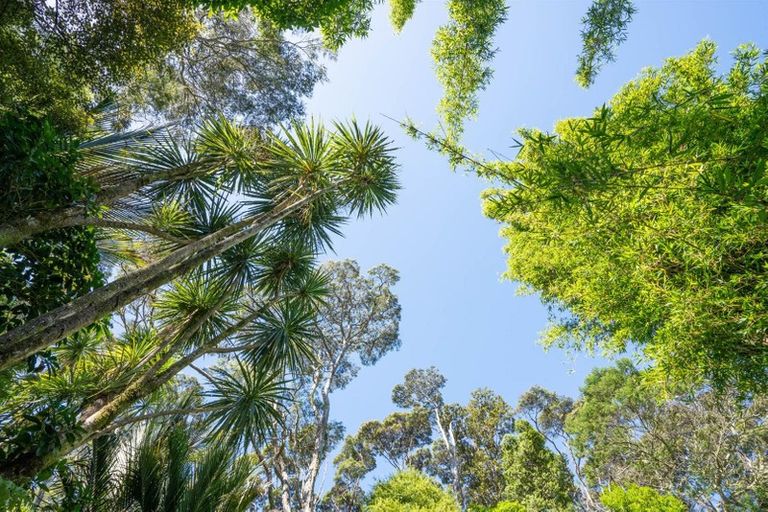 Photo of property in 413 Henderson Valley Road, Henderson Valley, Auckland, 0612